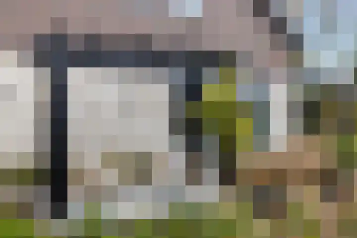 Stobbenveld 30 Ermelo thumbnail 63
