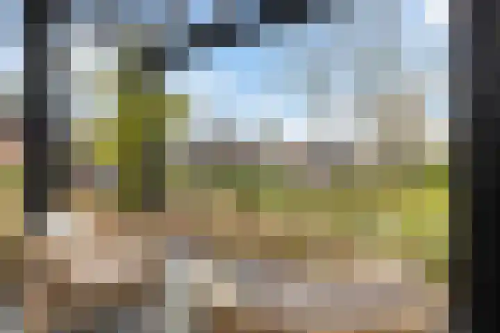 Stobbenveld 30 Ermelo thumbnail 64