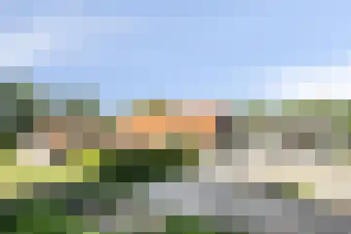 Stobbenweg 38 Dronten thumbnail 40