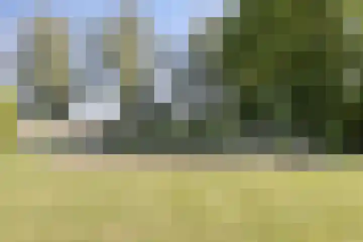 Stobbenweg 38 Dronten thumbnail 56