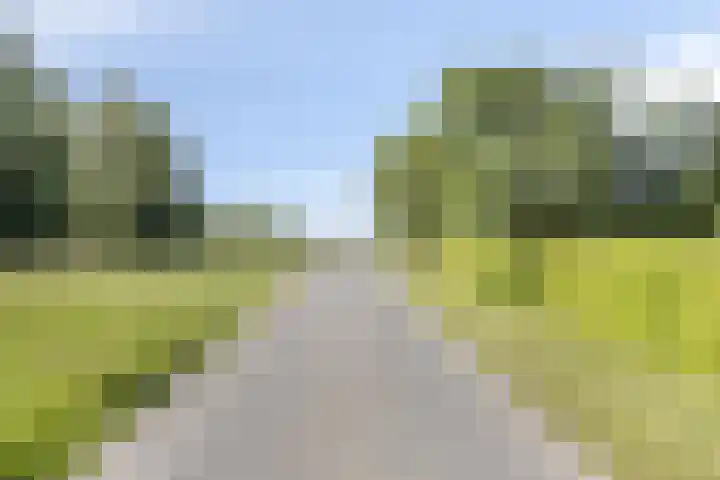 Stobbenweg 38 Dronten thumbnail 57