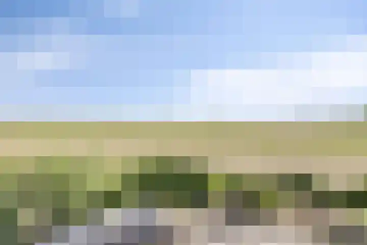 Stobbenweg 38 Dronten thumbnail 58