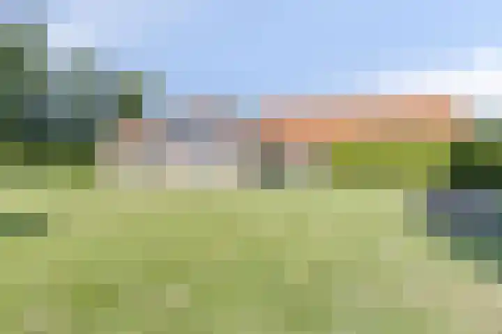 Stobbenweg 38 Dronten thumbnail 8