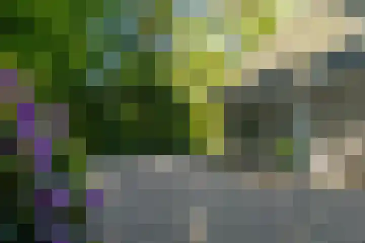 Stobbeweg 4 Hierden thumbnail 11