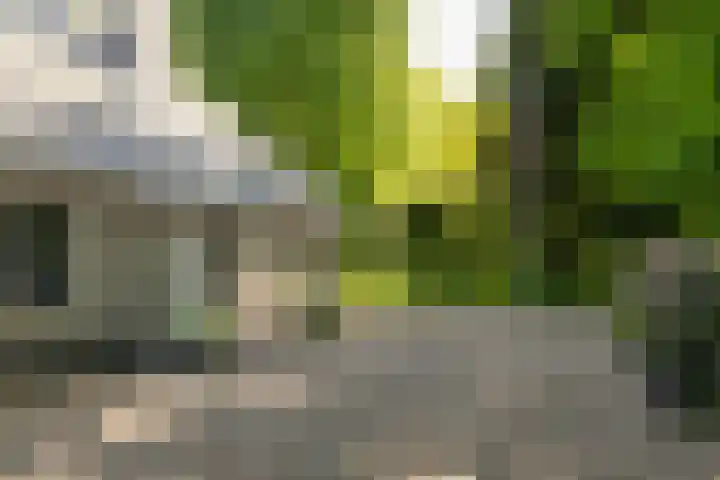 Stobbeweg 4 Hierden thumbnail 13
