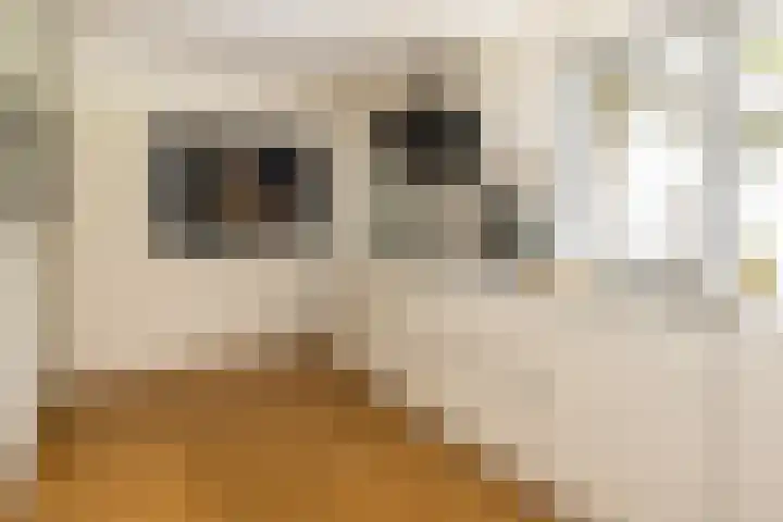 Stobbeweg 4 Hierden thumbnail 23