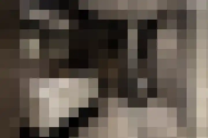 Stobbeweg 4 Hierden thumbnail 34