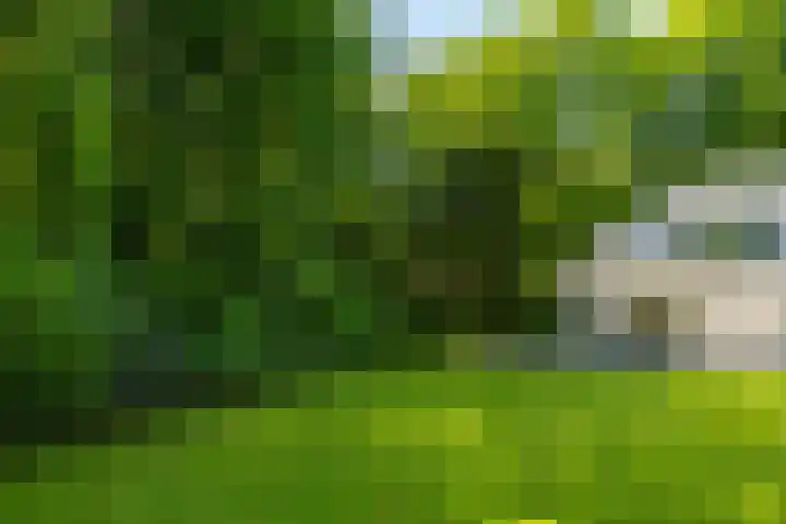 Stobbeweg 4 Hierden thumbnail 46