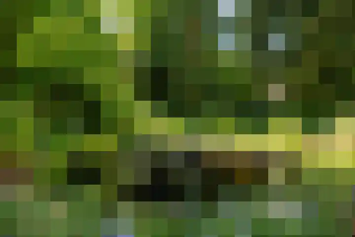 Stobbeweg 4 Hierden thumbnail 52
