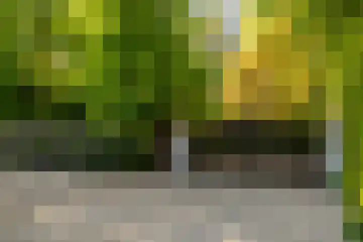 Stobbeweg 4 Hierden thumbnail 54