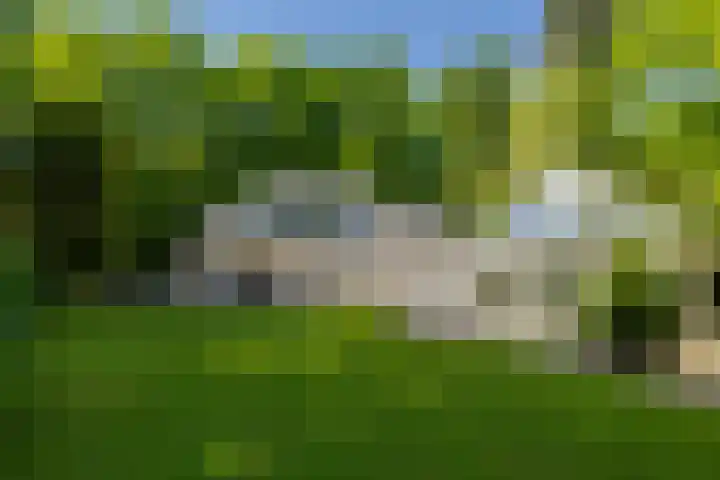 Stobbeweg 4 Hierden thumbnail 55