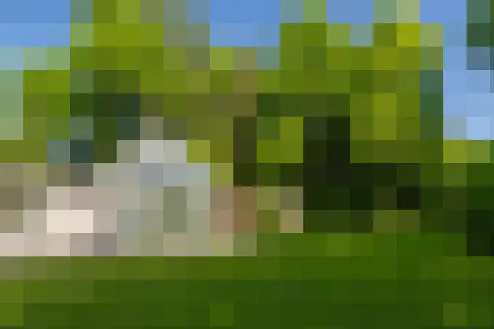 Stobbeweg 4 Hierden thumbnail 7