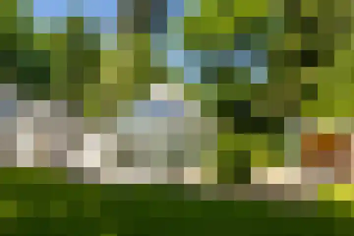 Stobbeweg 4 Hierden thumbnail 8