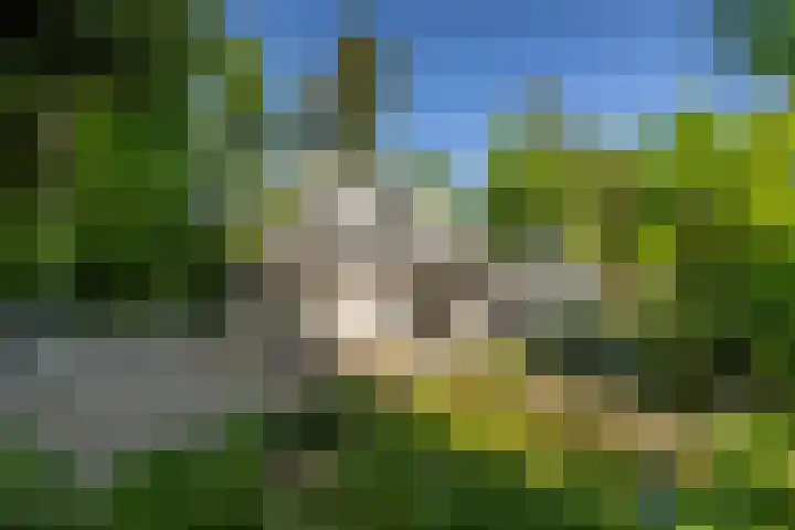 Stobbeweg 4 Hierden thumbnail 9