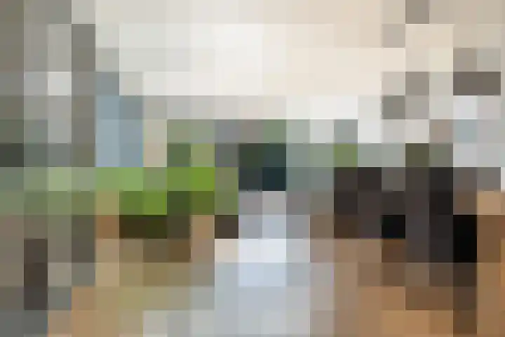 Stoelenmatterspad 17 Amsterdam thumbnail 10