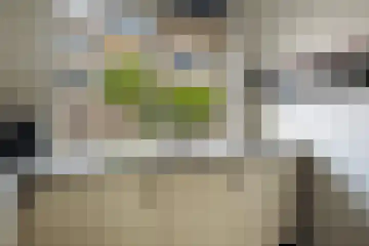 Stoelenmatterspad 17 Amsterdam thumbnail 17