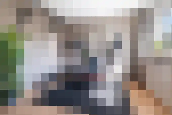 Stoelenmatterspad 17 Amsterdam thumbnail 24