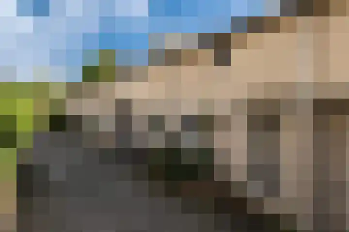 Stoelenmatterspad 17 Amsterdam thumbnail 32