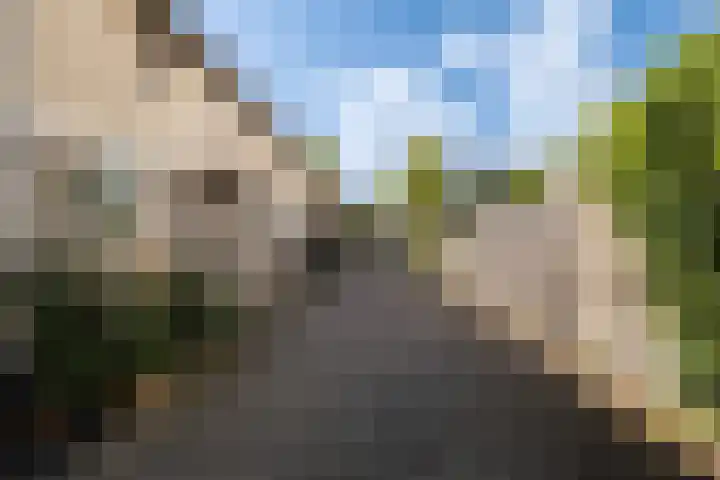 Stoelenmatterspad 17 Amsterdam thumbnail 33