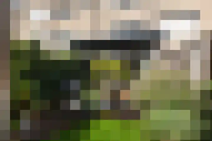 Stoelenmatterspad 17 Amsterdam thumbnail 7