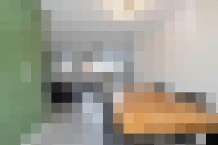 Stoholm 153 Hoofddorp thumbnail 23