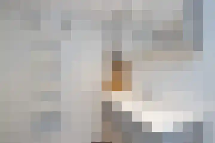 Stoholm 153 Hoofddorp thumbnail 30