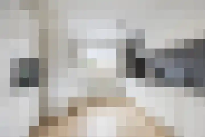 Stoholm 217 Hoofddorp thumbnail 13