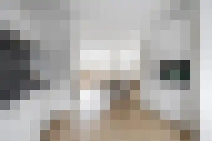 Stoholm 217 Hoofddorp thumbnail 16