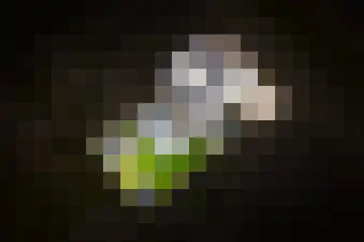 Stoker 9 Druten thumbnail 44