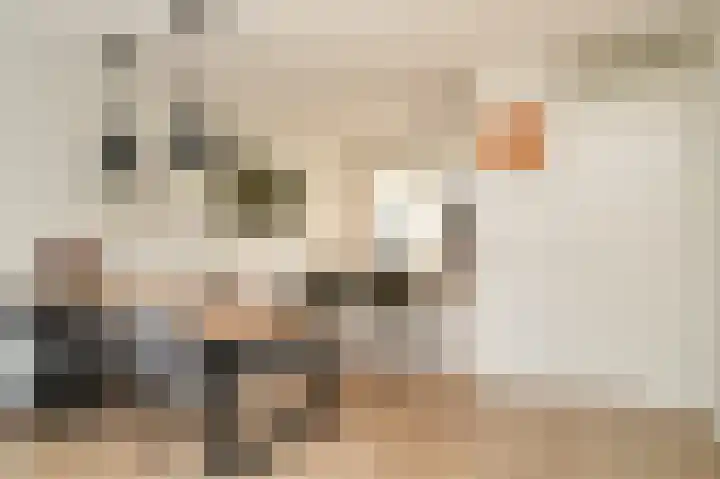 Stoker 9 Druten thumbnail 9