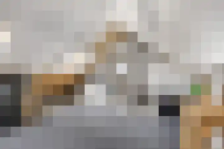 Stokerij 135 Gorredijk thumbnail 24