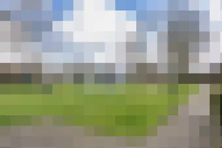 Stokerij 135 Gorredijk thumbnail 34