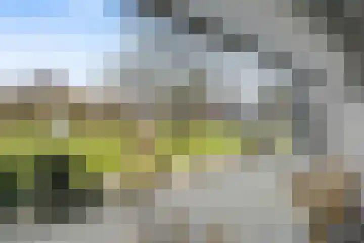 Stokerij 135 Gorredijk thumbnail 6