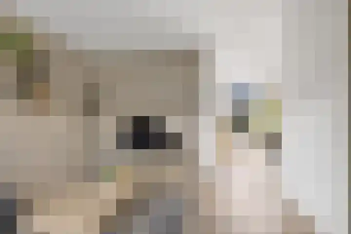 Stokerij 135 Gorredijk thumbnail 7