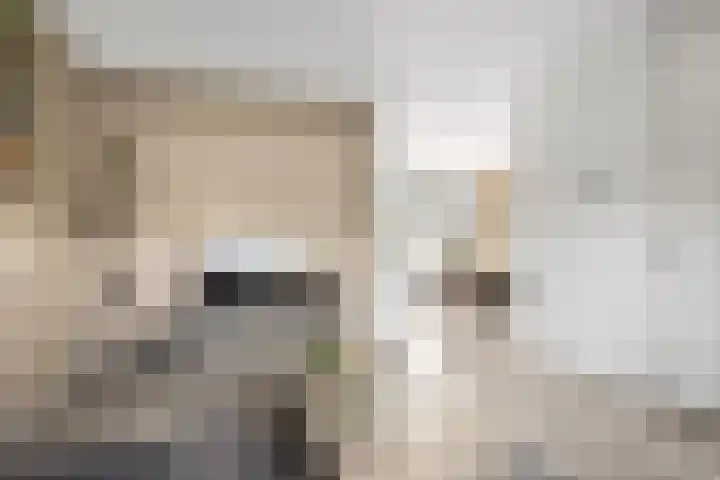 Stokerij 135 Gorredijk thumbnail 8
