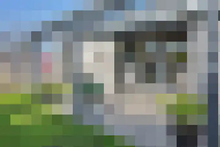 Stokersdorpweg 4 Enschede thumbnail 33