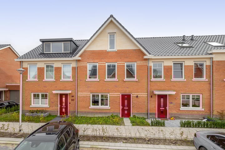 Stokroos 58 in Zevenhuizen foto