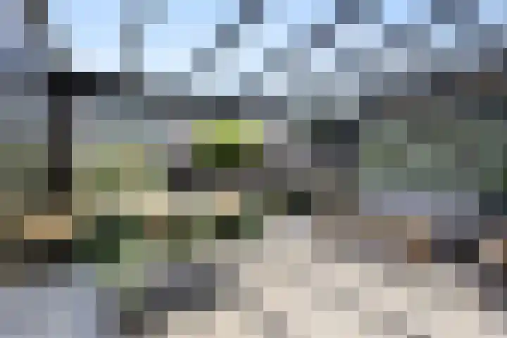 Stolp 22 Voorthuizen thumbnail 15