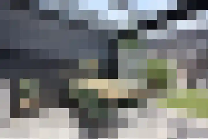 Stolp 22 Voorthuizen thumbnail 16