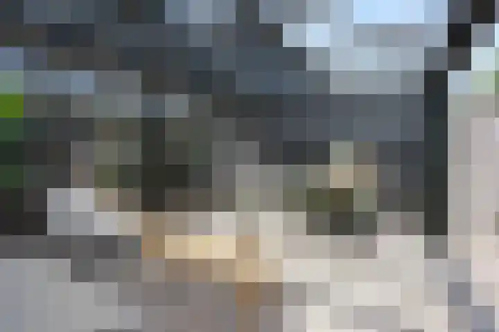 Stolp 22 Voorthuizen thumbnail 17