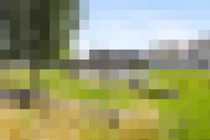 Stolp 22 Voorthuizen thumbnail 42