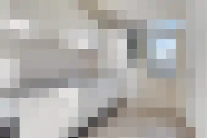 Stoofboogerd 4 Kapelle thumbnail 13
