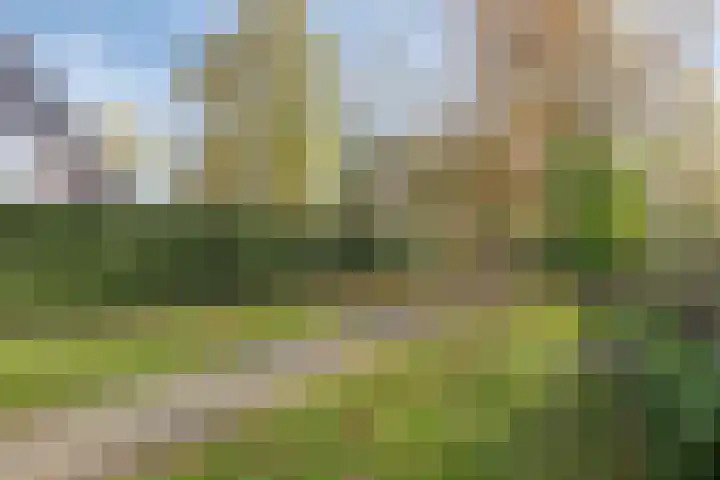 Stoofboogerd 4 Kapelle thumbnail 33
