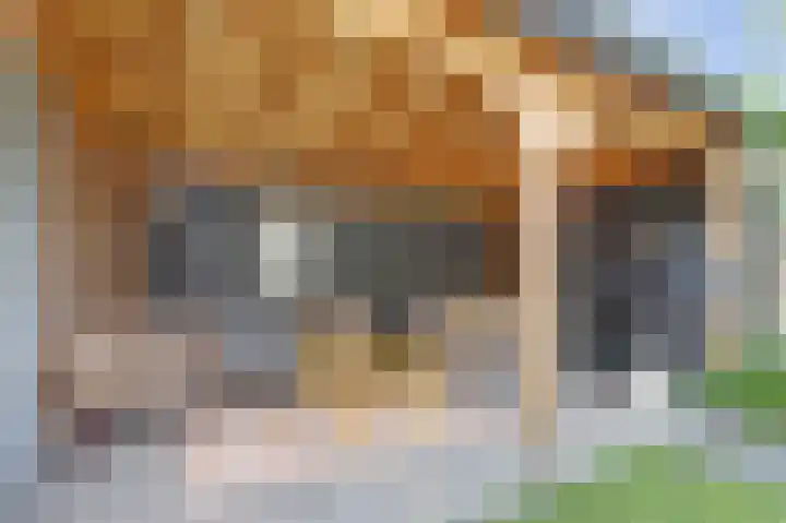 Stoofboogerd 8 Kapelle thumbnail 26