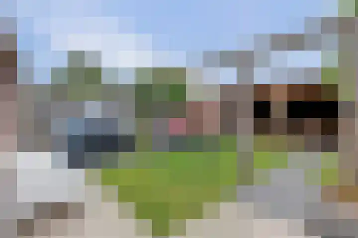 Stoofboogerd 8 Kapelle thumbnail 28
