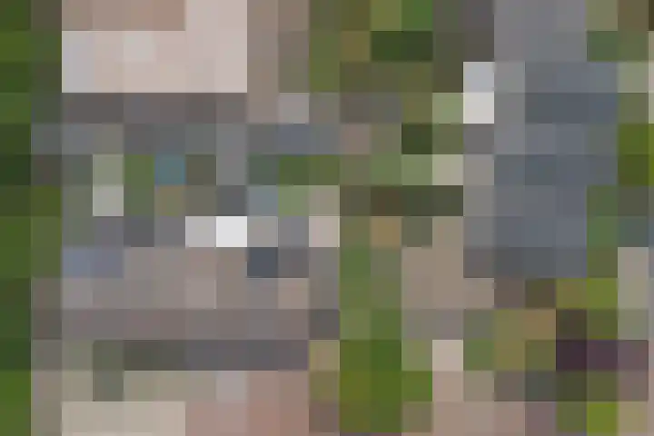 Stoofboogerd 8 Kapelle thumbnail 34