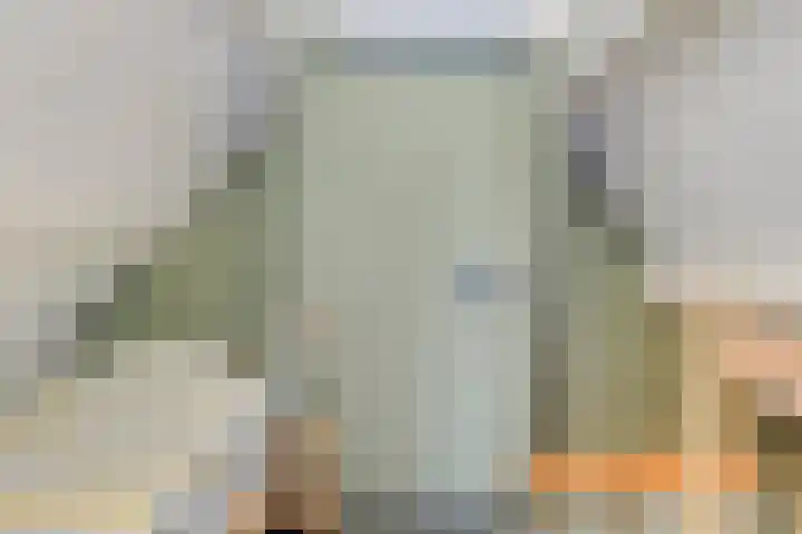 Stoofdijk 2 Stavenisse thumbnail 14