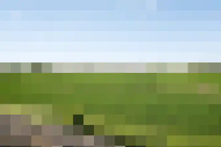 Stoofdijk 3 Steenbergen thumbnail 47