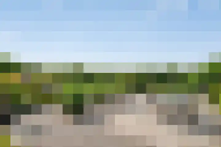 Stoofdijk 3 Steenbergen thumbnail 52