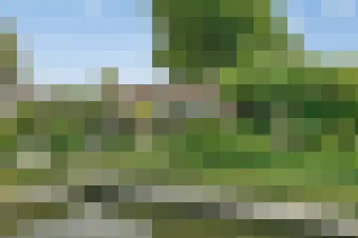 Stoofdijk 3 Steenbergen thumbnail 53